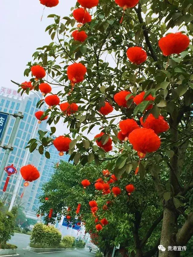 年味十足街拍图片大全,春节贵港街头