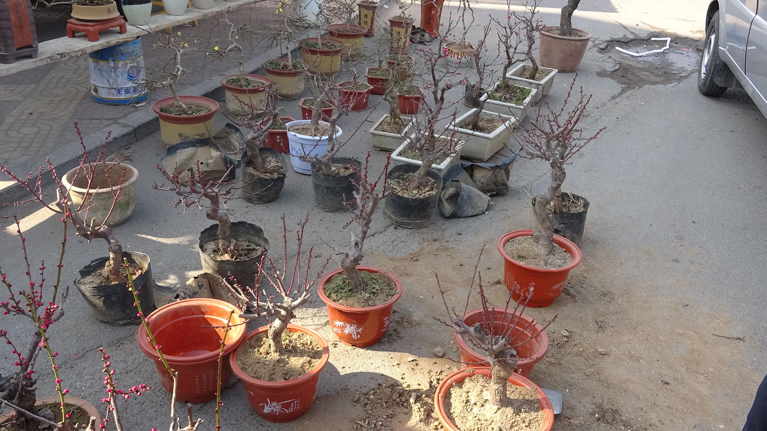 我的家乡集市,临朐县城大集