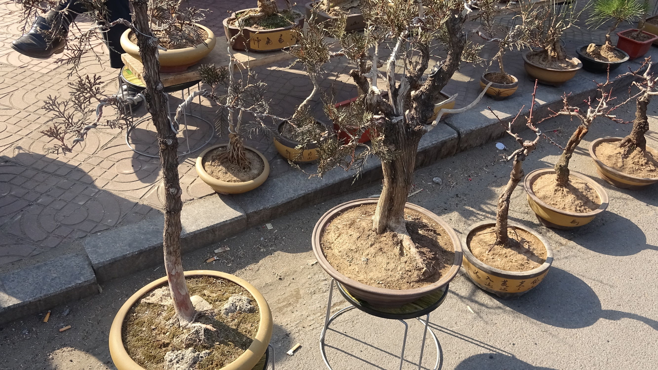 我的家乡集市,临朐县城大集