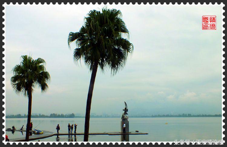 邛海公园旅游攻略,邛海旅游攻略酒村