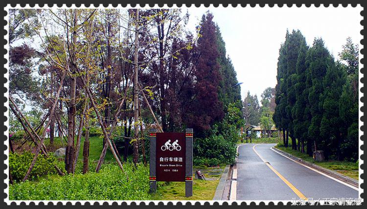 邛海公园旅游攻略,邛海旅游攻略酒村