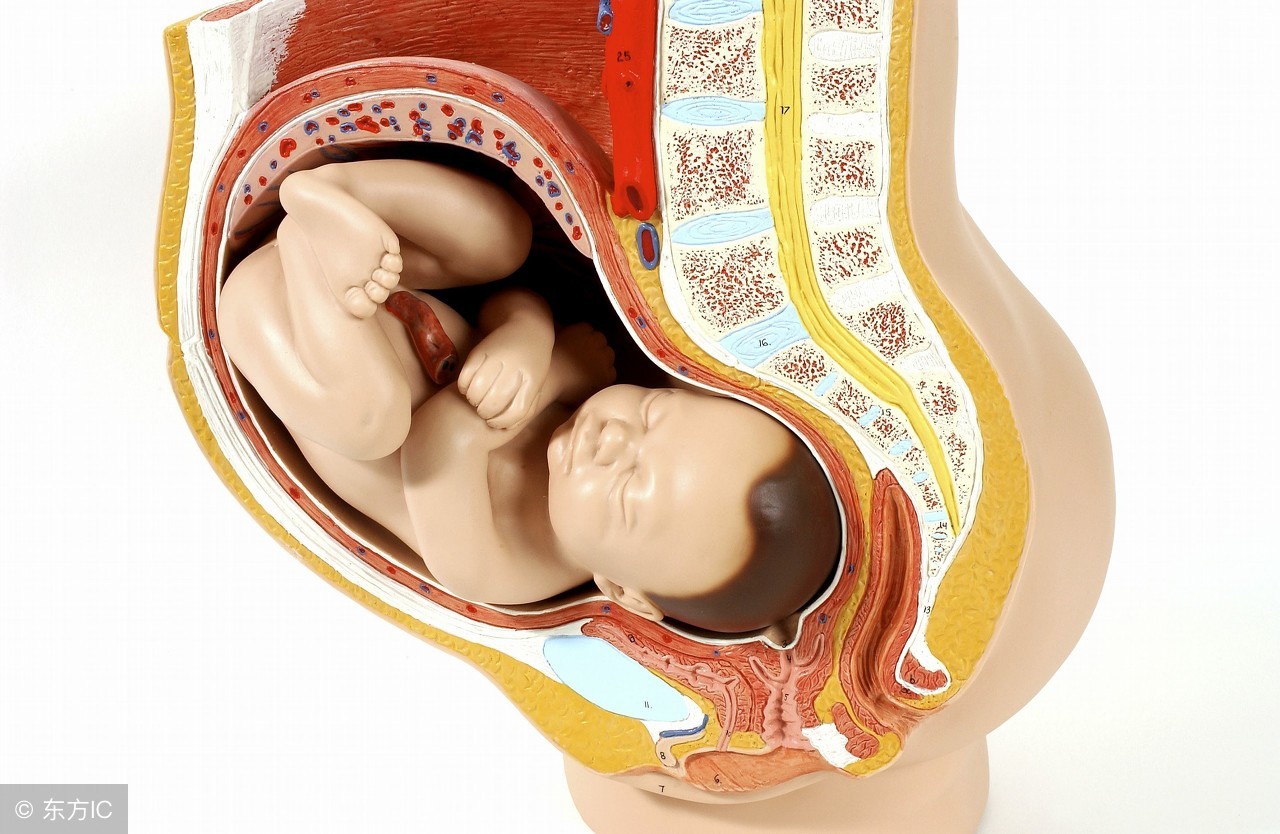 无麻药忍痛剖腹生子,无麻剖腹