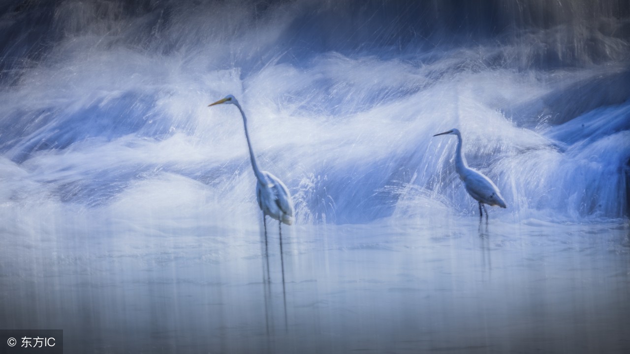 鬼谷子捭阖术终极篇（原文）：以宇宙法则成就非凡金身