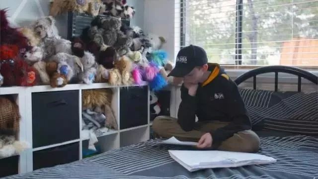 坎贝尔泰迪熊,坎贝尔金丝熊