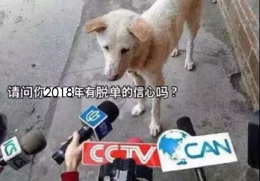 狗年说狗带你了解游戏中的狗文化,狗年说狗漫谈中国古代的狗