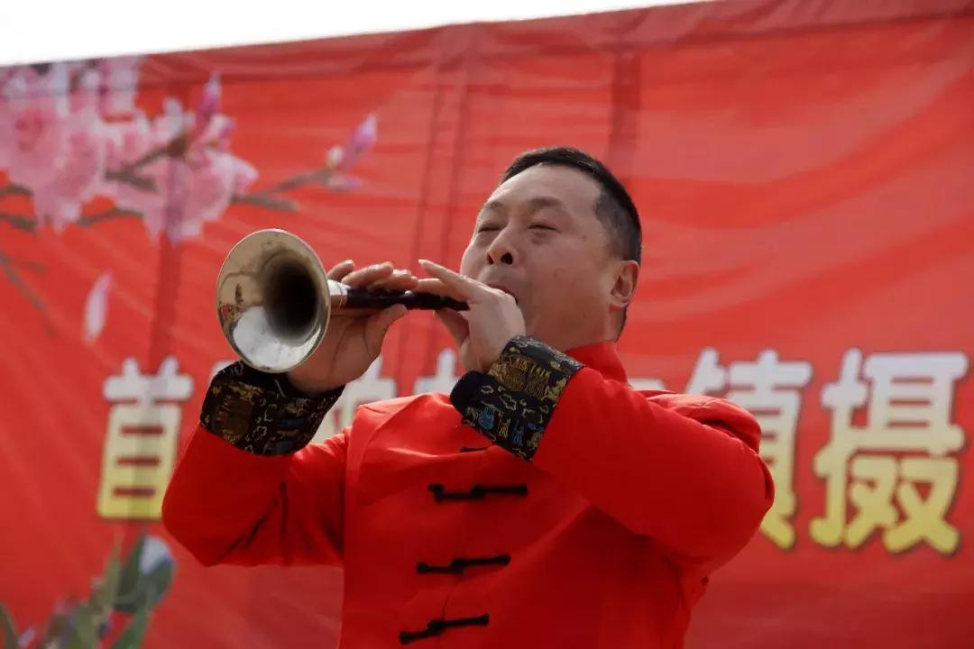 广元市柏林樱花节,广元柏林大型樱花节