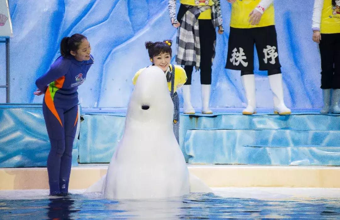 走起~今晚18:30拿出手机摇一摇，《过年啦》惊喜来袭！