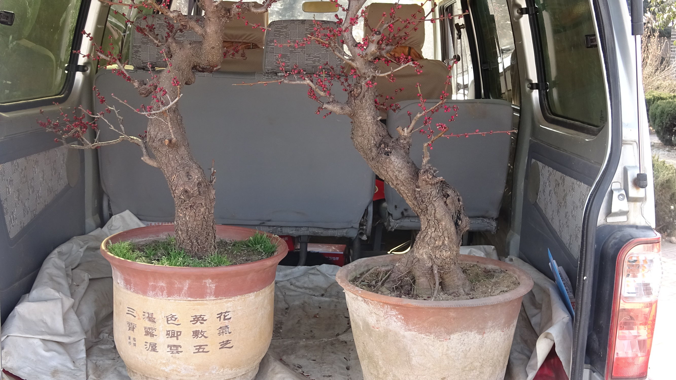 我的家乡集市,临朐县城大集