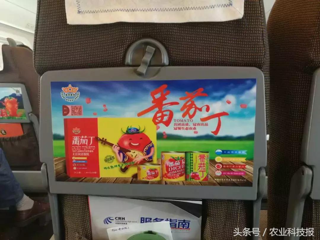 从传统商业模式到电商的转型范文,从农民到百亿创业靠红枣翻身