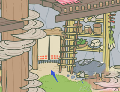 跟着青蛙学游泳,跟着学财务项目怎么样