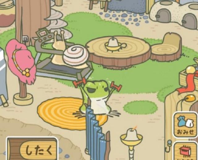 跟着青蛙学游泳,跟着学财务项目怎么样