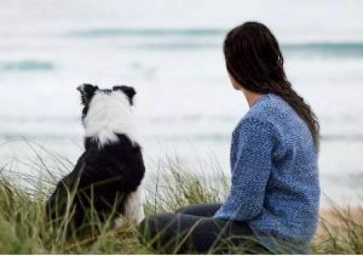 狗年旺旺视频完整版,狗年旺旺2019