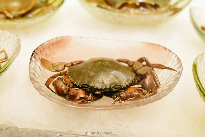 鳄鱼、娃娃鱼，300+深海臻品，人均400还满场，为什么