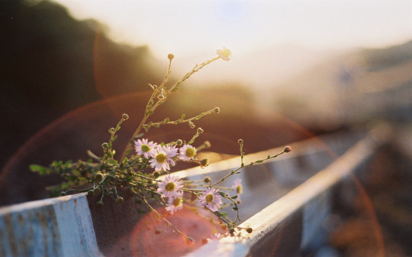 天秤男劈腿分手还能挽回吗,挽回男朋友的三大技巧