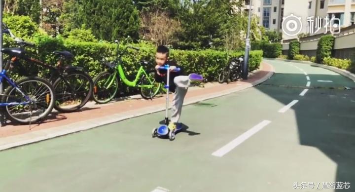 应采儿jasper晒作业,应采儿晒jasper劲歌热舞视频