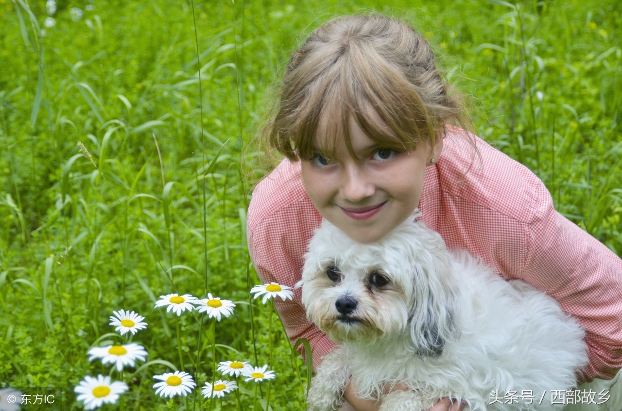请珍惜属狗的人,属狗人的一生忠告