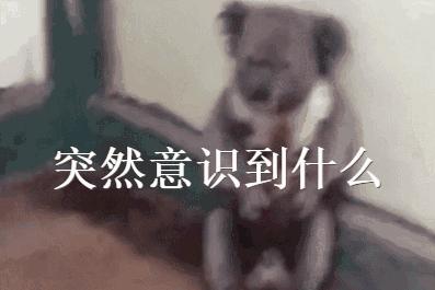 第一次去广州必买的手信,广州哪里买手信