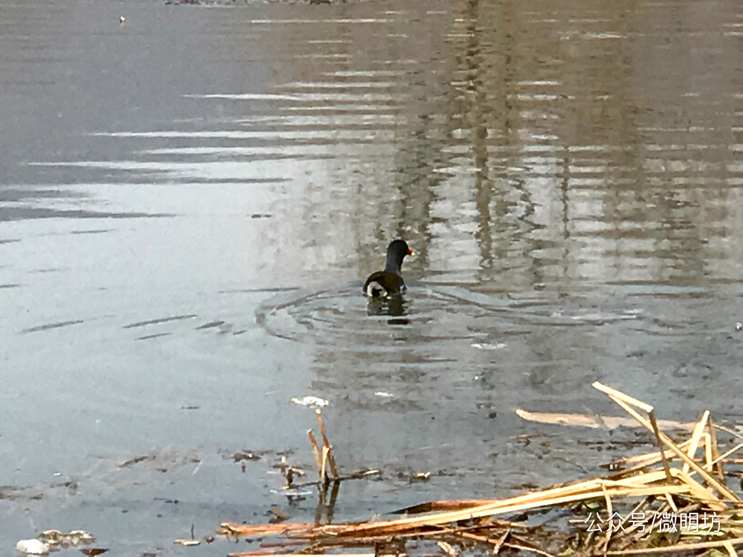 手拍世界作品集402期,手拍世界作品专集