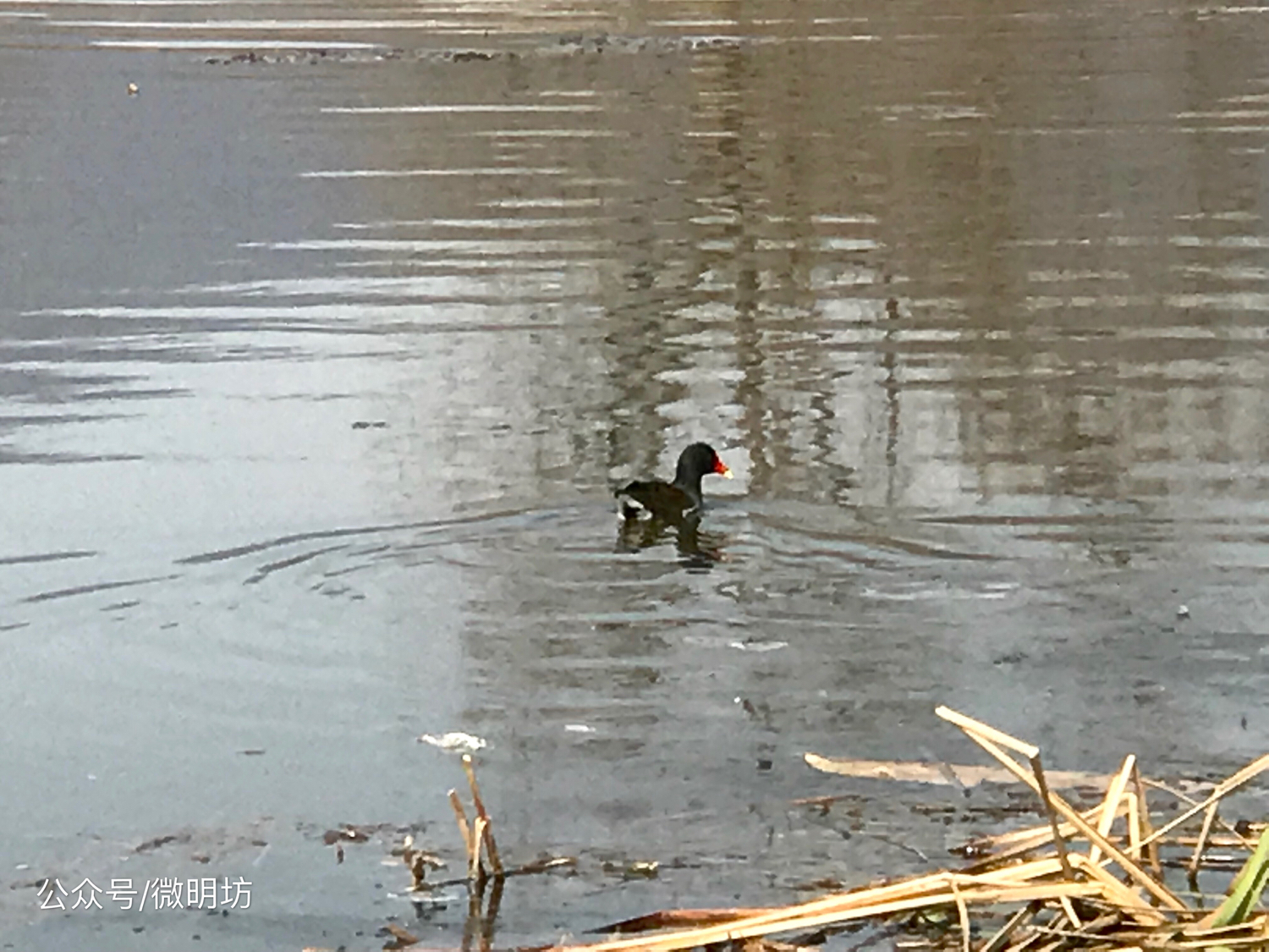 手拍世界作品集402期,手拍世界作品专集