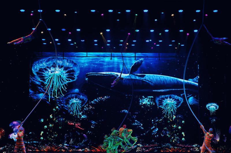 死海泡温泉好吗,珠海日式樱花温泉