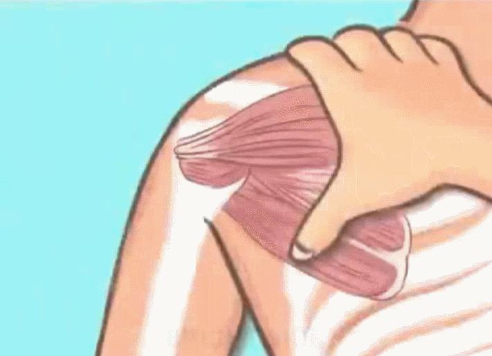 养生按摩身体手法全过程,1小时按摩全身教程