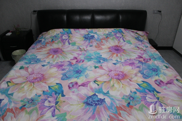 驿城区新房装修预算需要多少,我的装修