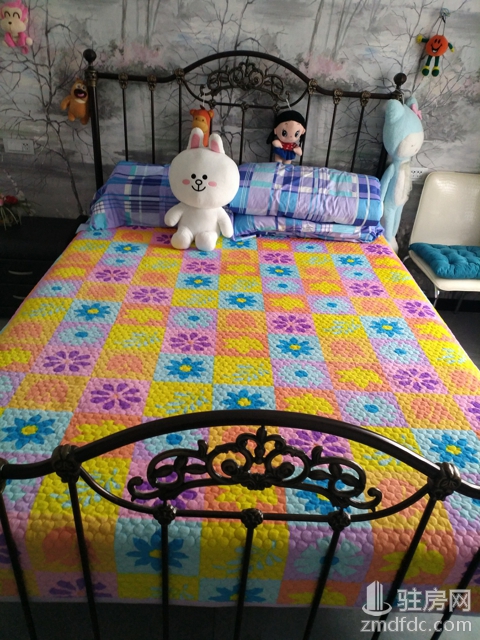 驿城区新房装修预算需要多少,我的装修