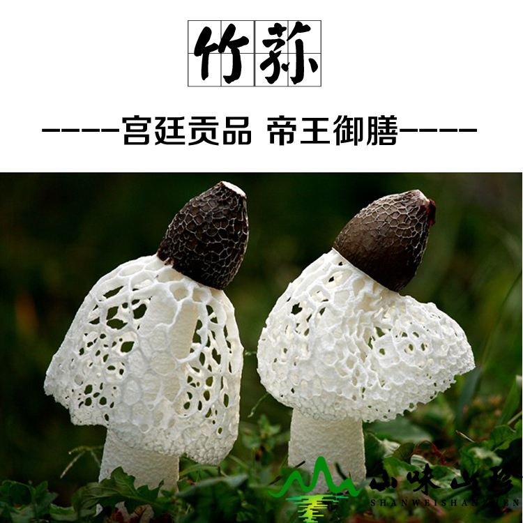 菌中皇后竹荪,菌中皇后是什么
