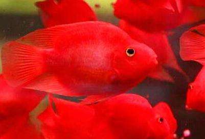 微信头像图片大全2021最火头像男,微信头像2021年好运山水微信头像