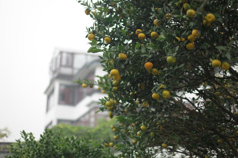 去苏州太湖度假村攻略,苏州东山三山岛古井山庄