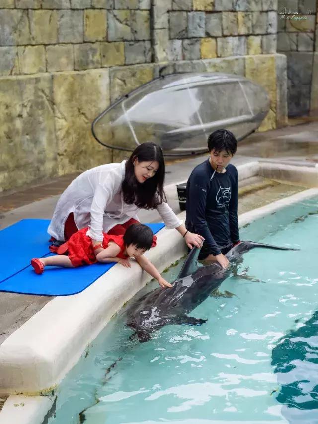 不太累的厦门旅游攻略,不累且便宜的亲子游