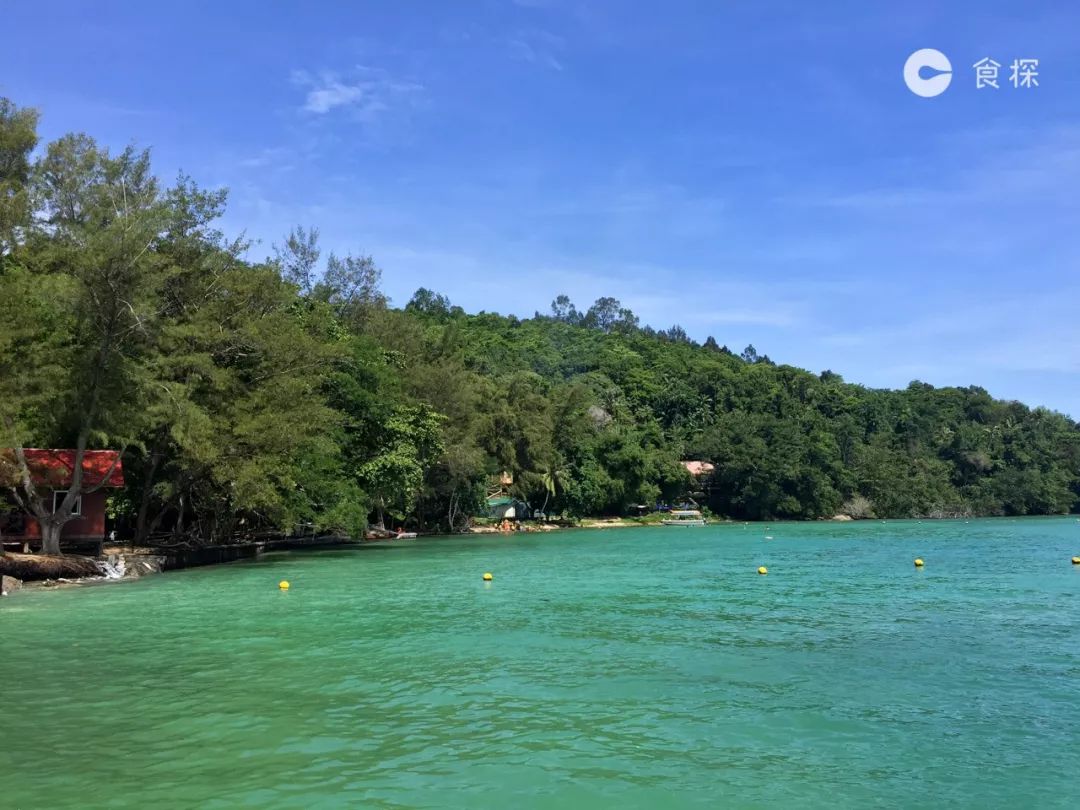 沙巴一日游必去的地方,沙巴旅行带你逛逛沙巴的海鲜早市