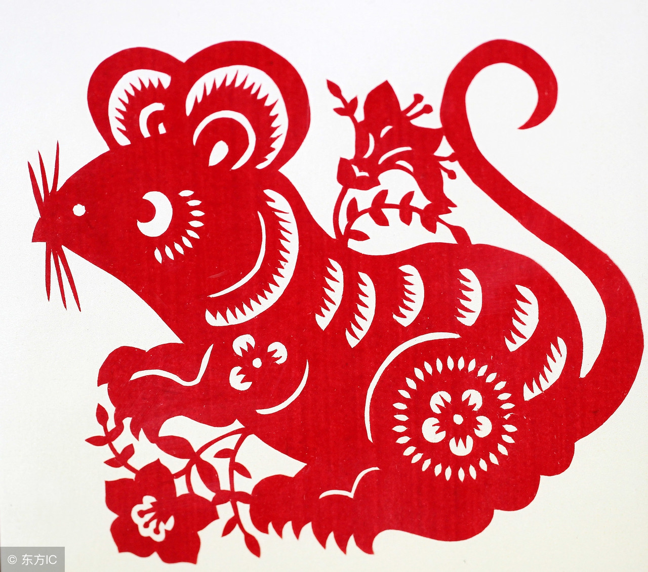 十二生肖每日运势早知道1月5日,12月11日十二生肖运势早知道