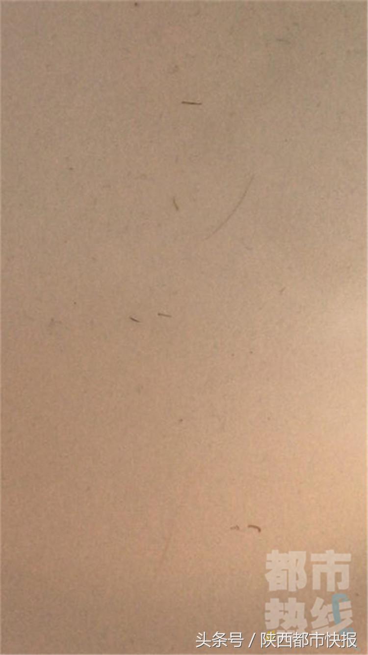 咋回事？自来水管内流出条形虫