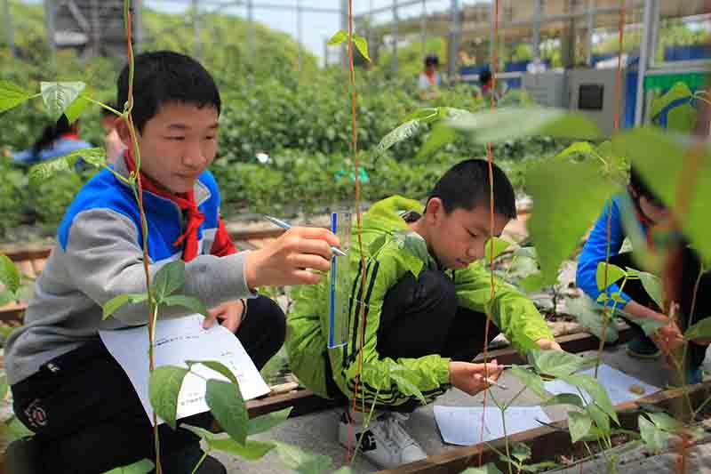 昆山正在建设的学校,昆山市五大学校