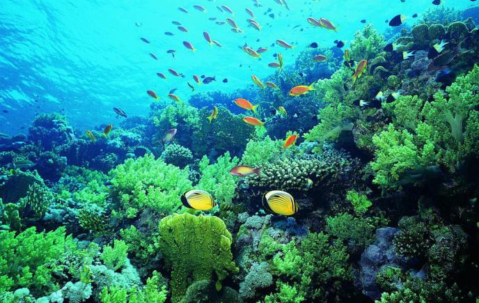 普吉岛各大海滩,普吉岛五个小岛