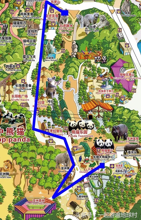 长隆野生动物世界游玩北门攻略,长隆野生动物世界旅游攻略路线
