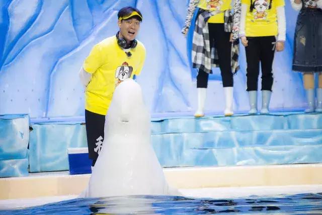 腊月二十四到大年三十，每晚央视少儿频道陪你《过年啦》！