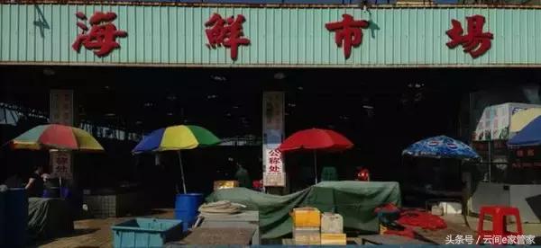 春节留深，去哪里买年货又省又全？