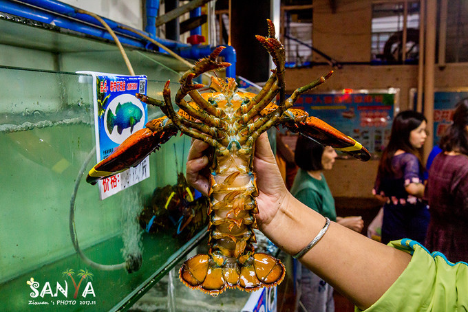 三亚离赤道有多少公里,三亚很远但是目的地并不遥远