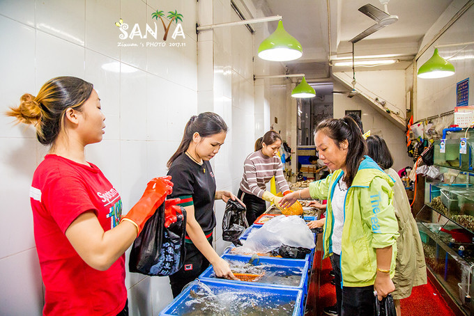 三亚离赤道有多少公里,三亚很远但是目的地并不遥远