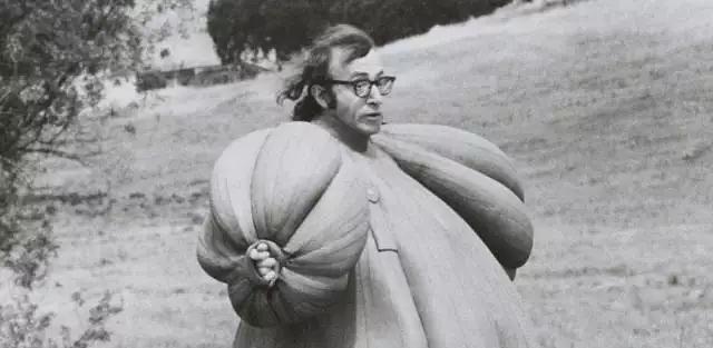 每一部伍迪·艾伦电影的排名及其他