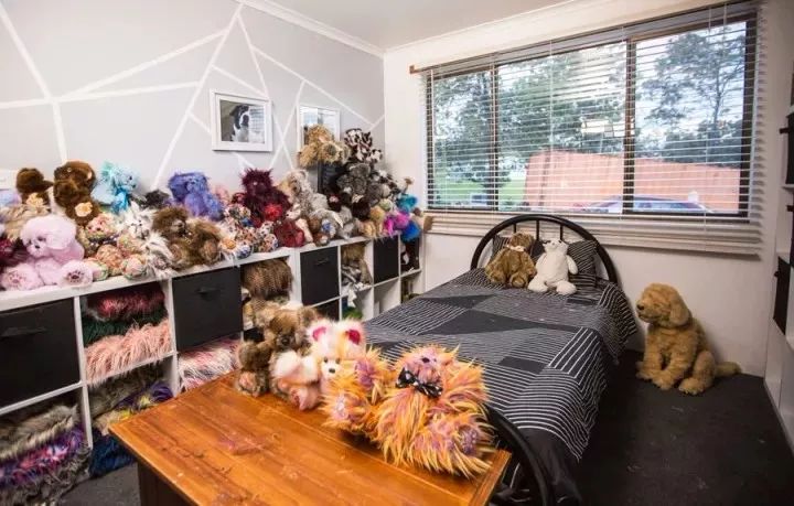 坎贝尔泰迪熊,坎贝尔金丝熊