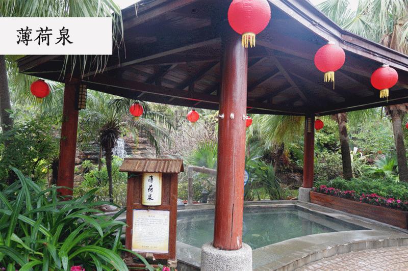 死海泡温泉好吗,珠海日式樱花温泉