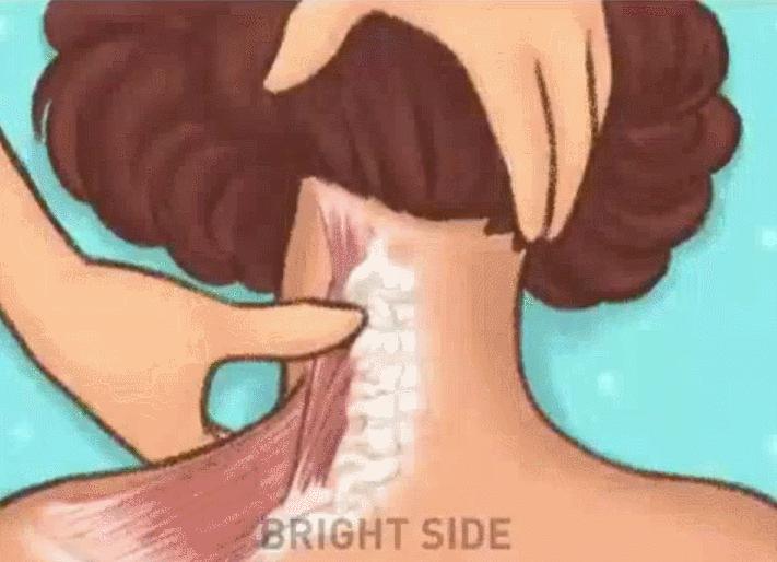 养生按摩身体手法全过程,1小时按摩全身教程