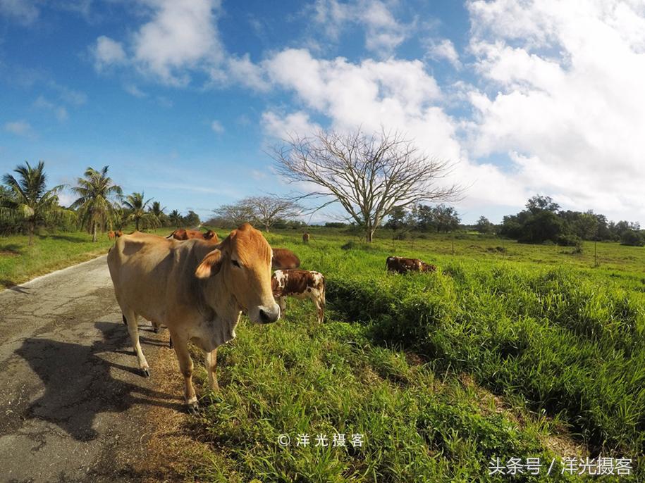 塞班岛这个免签海岛美到尖叫,出国旅游塞班岛最佳选择