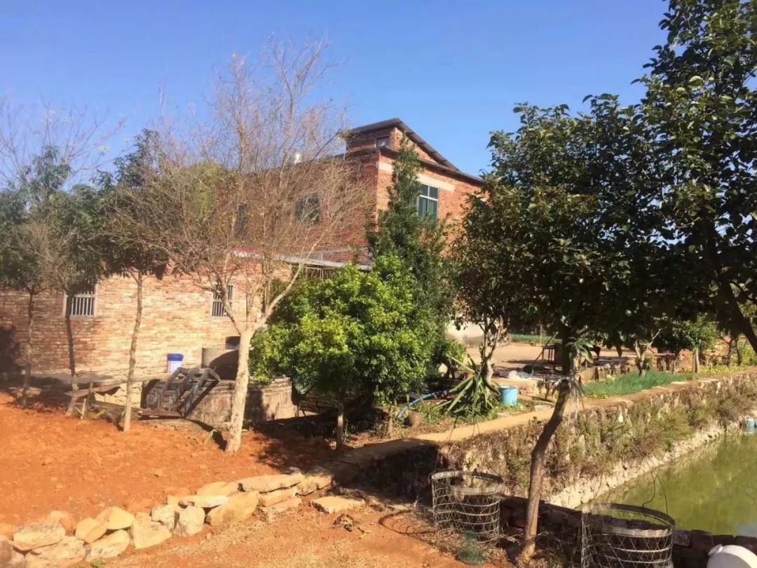 2024梅州楼市最新行情,梅州2018年楼市如何