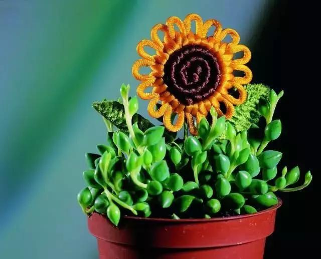 最美中国结调查表,最美的中国结大全