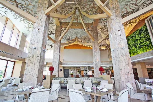 不太累的厦门旅游攻略,不累且便宜的亲子游