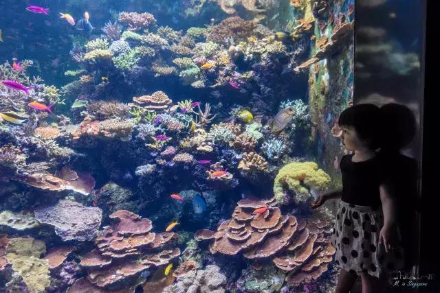 不太累的厦门旅游攻略,不累且便宜的亲子游